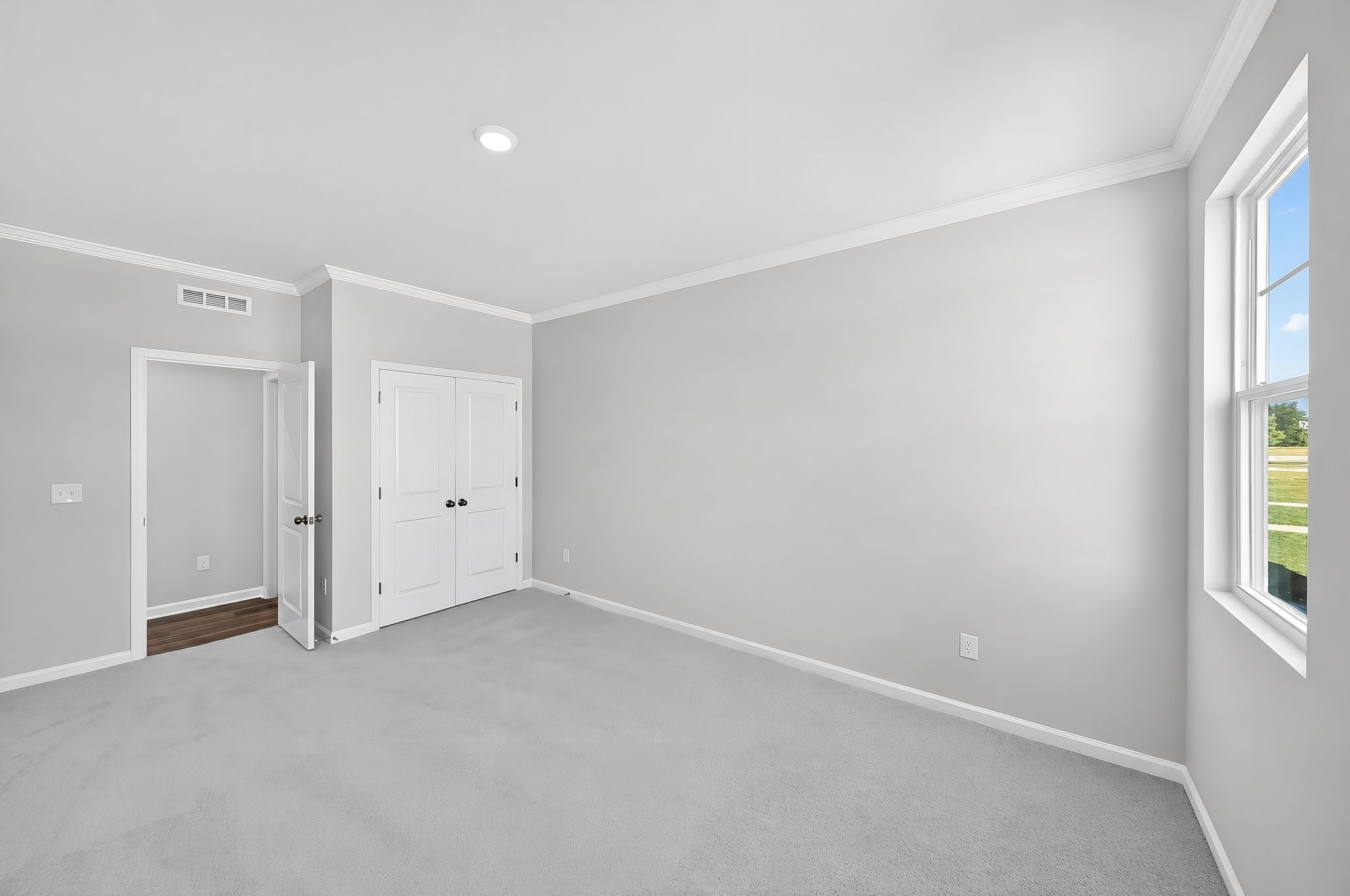 Rosedale Dylan 20