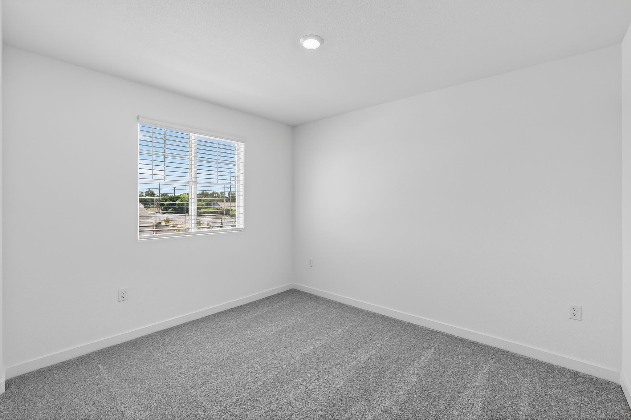 Cedar Grove 2203 C 7