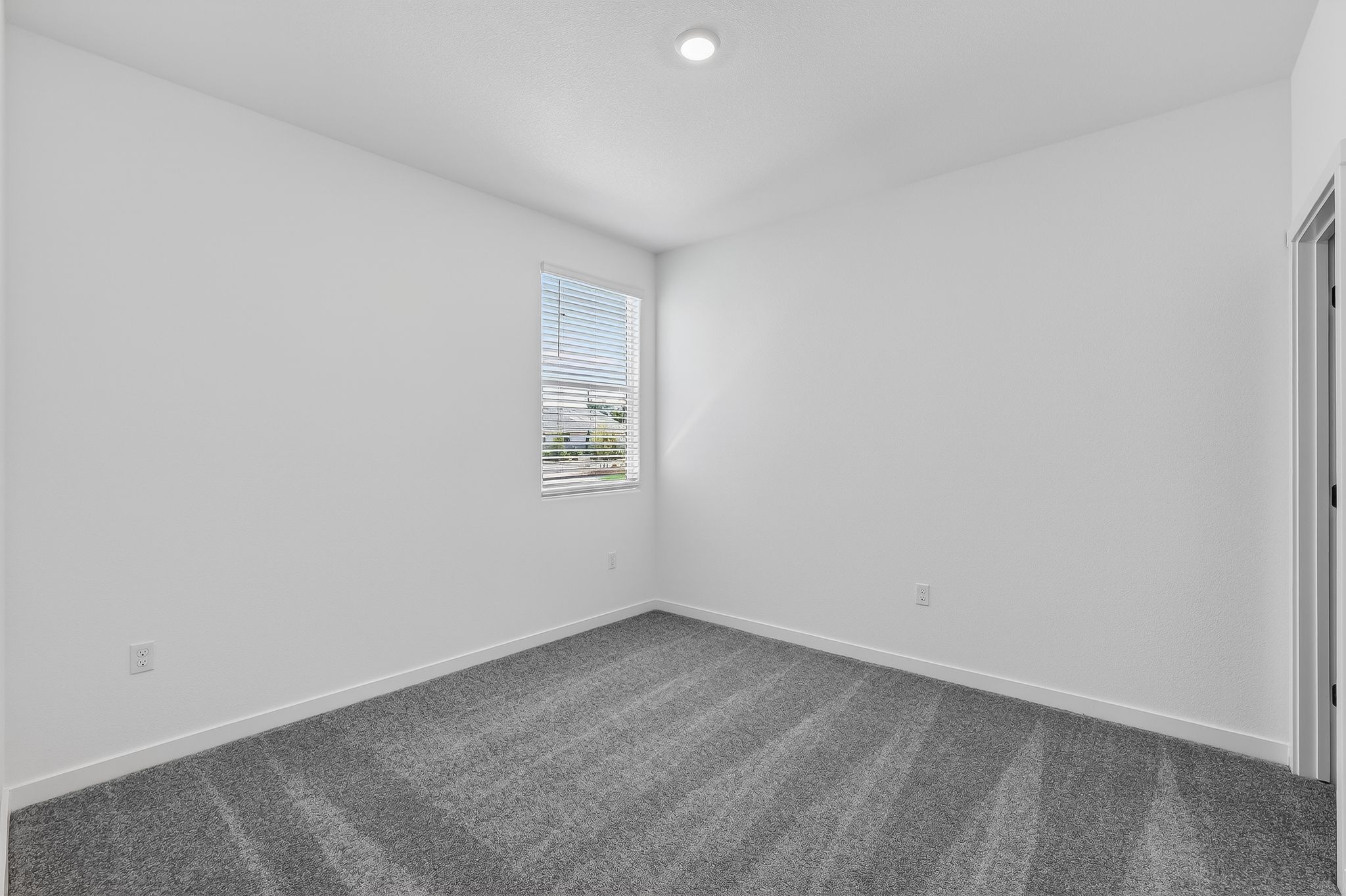 Cedar Grove 2476 C 5