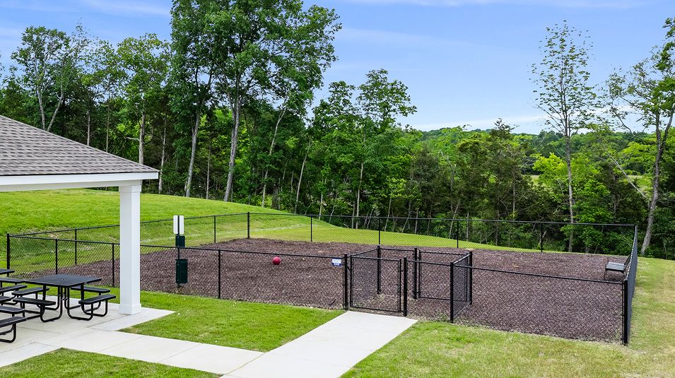 Bowie Meadows Amenity Dog Park