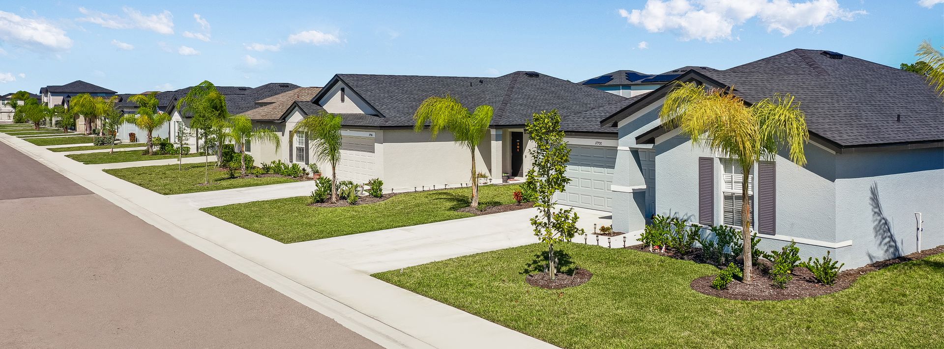 Executive Homes Savanna Lakes Streetscape