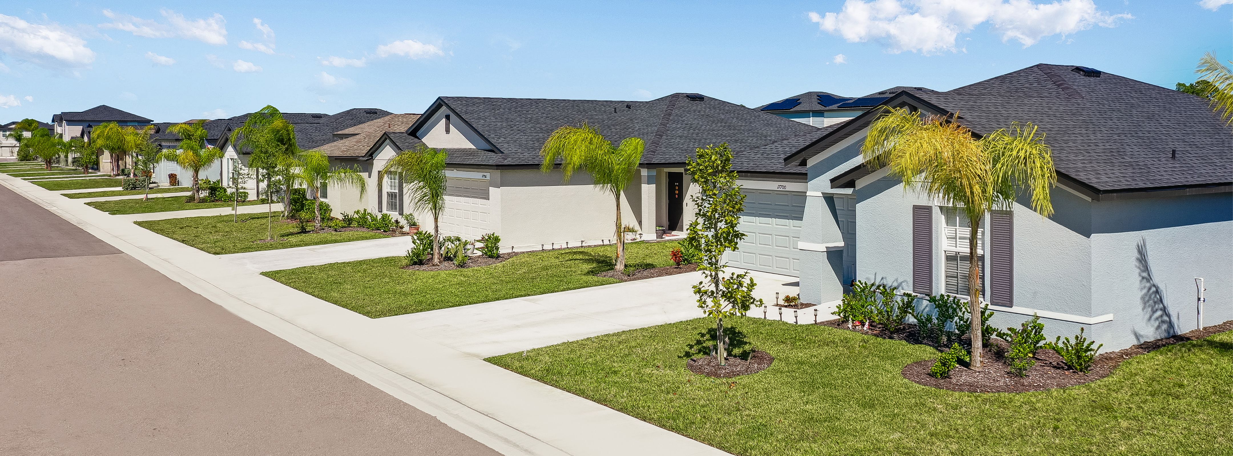 Executive Homes Savanna Lakes Streetscape