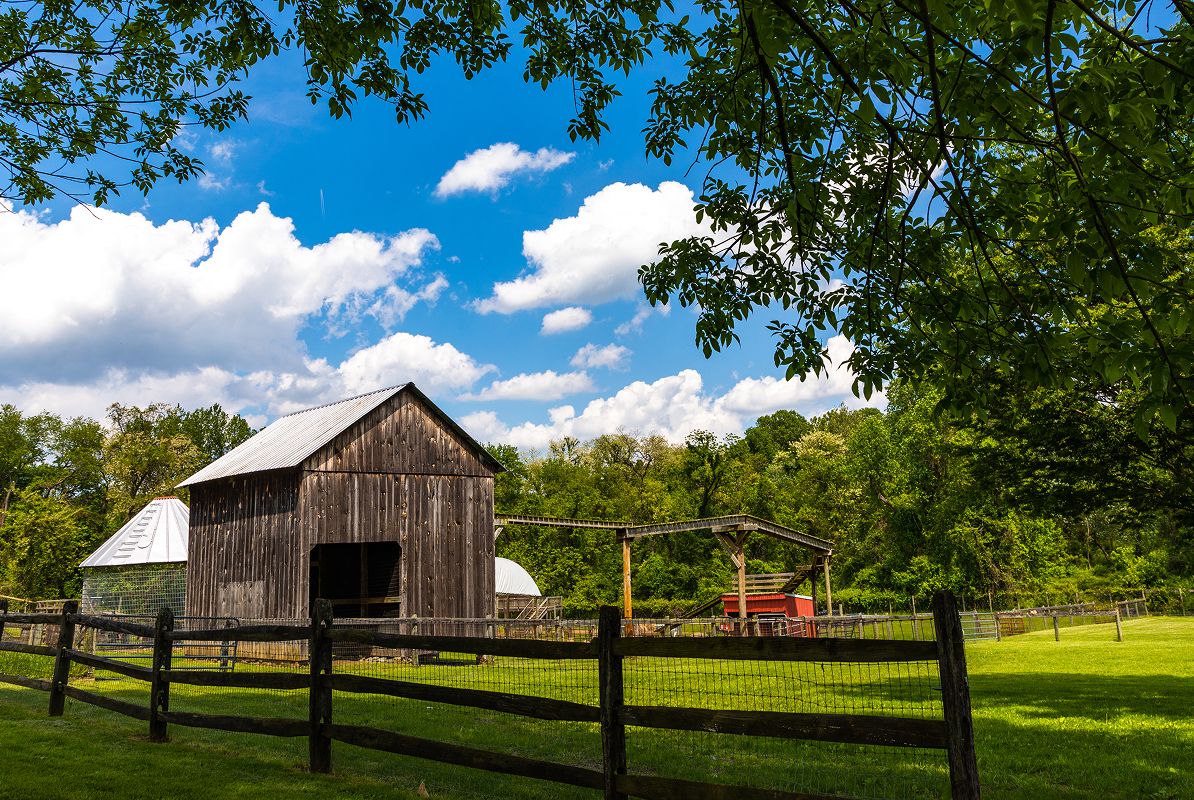 CMD Baltimore Local Area Webers Cider Mill Farm 1203 Photoshoot