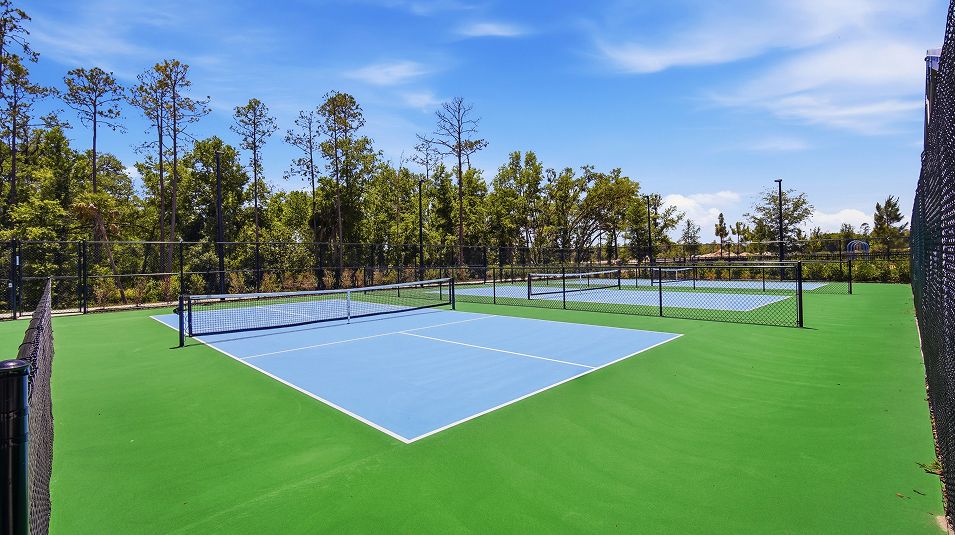 New Port Corners Amenity Pickleball 2of2