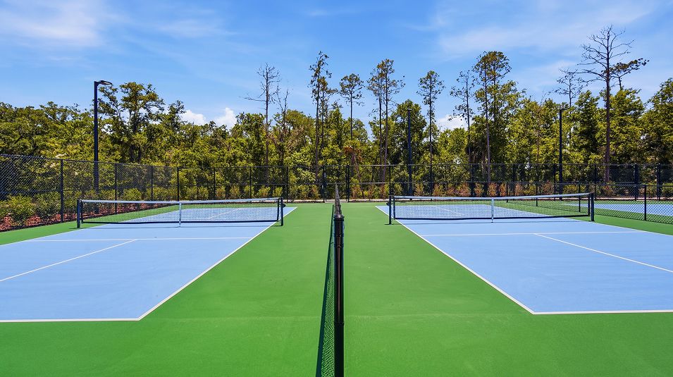 New Port Corners Amenity Pickleball 1of2