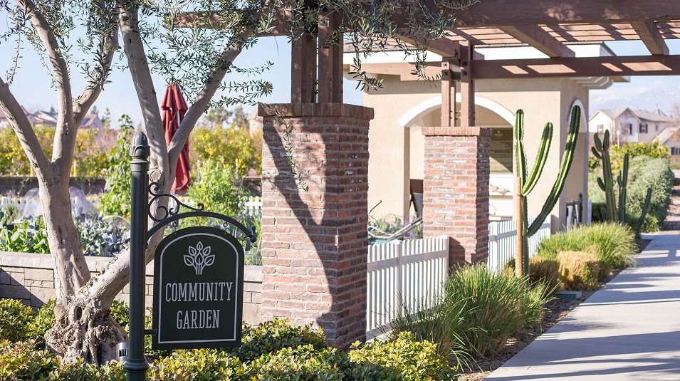 The Preserve Amenity Community Garden 3of4