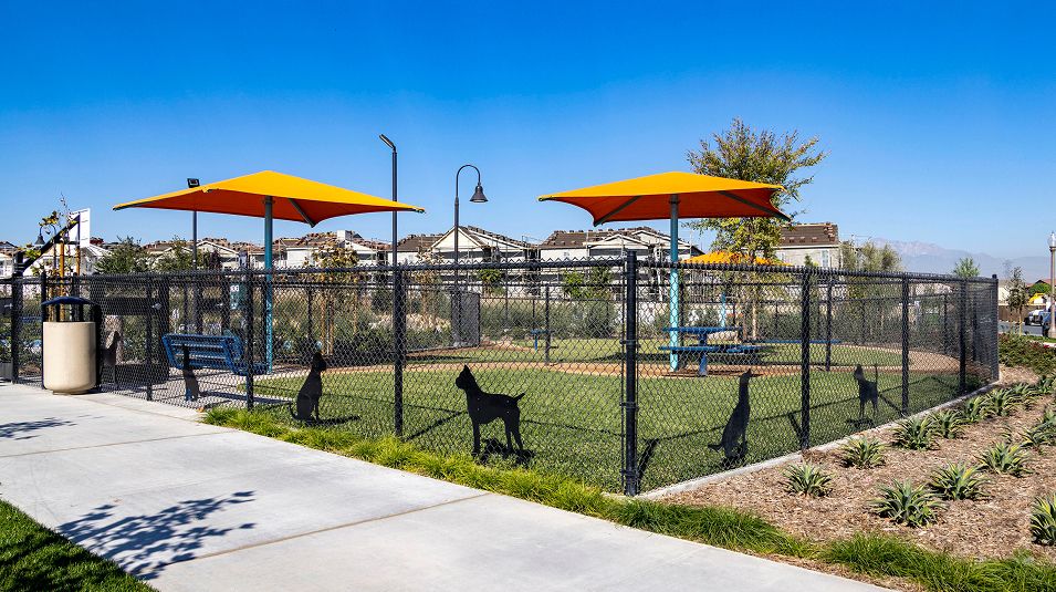The Preserve Amenity Discovery Park Dog Park