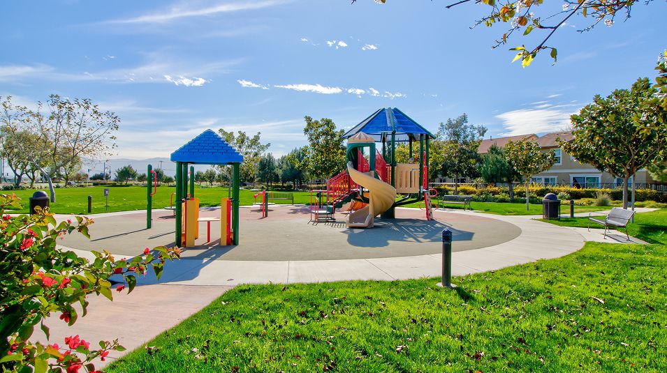 The Preserve Amenity Playground 3