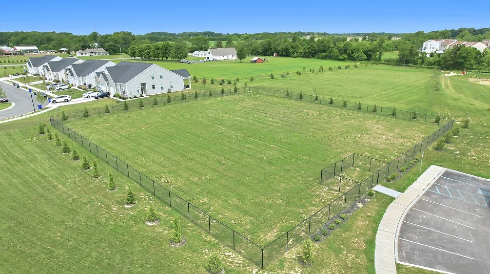 Venue Winchelsea Amenity Dogpark 1of4