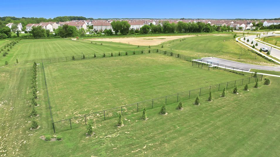 Venue Winchelsea Amenity Dogpark 2of4