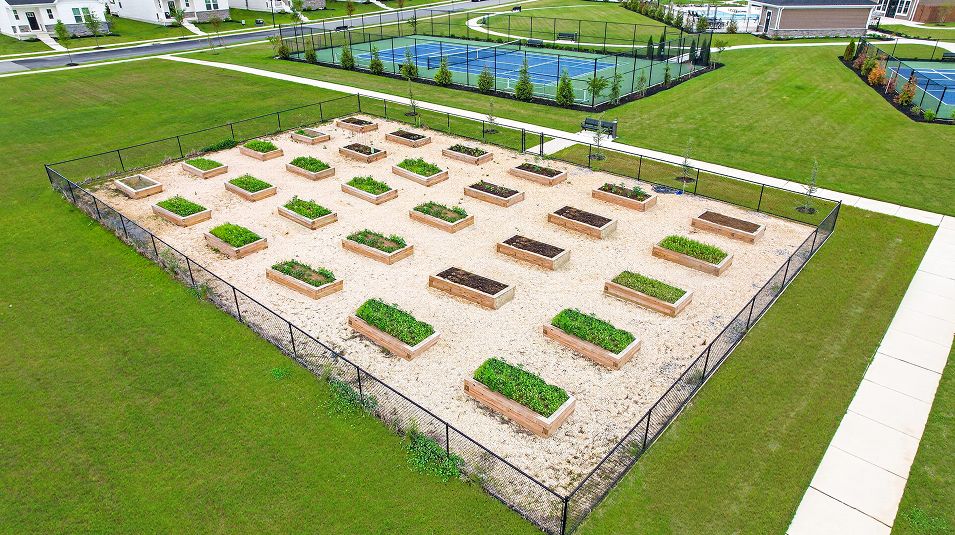 Venue Winchelsea Amenity Community Garden