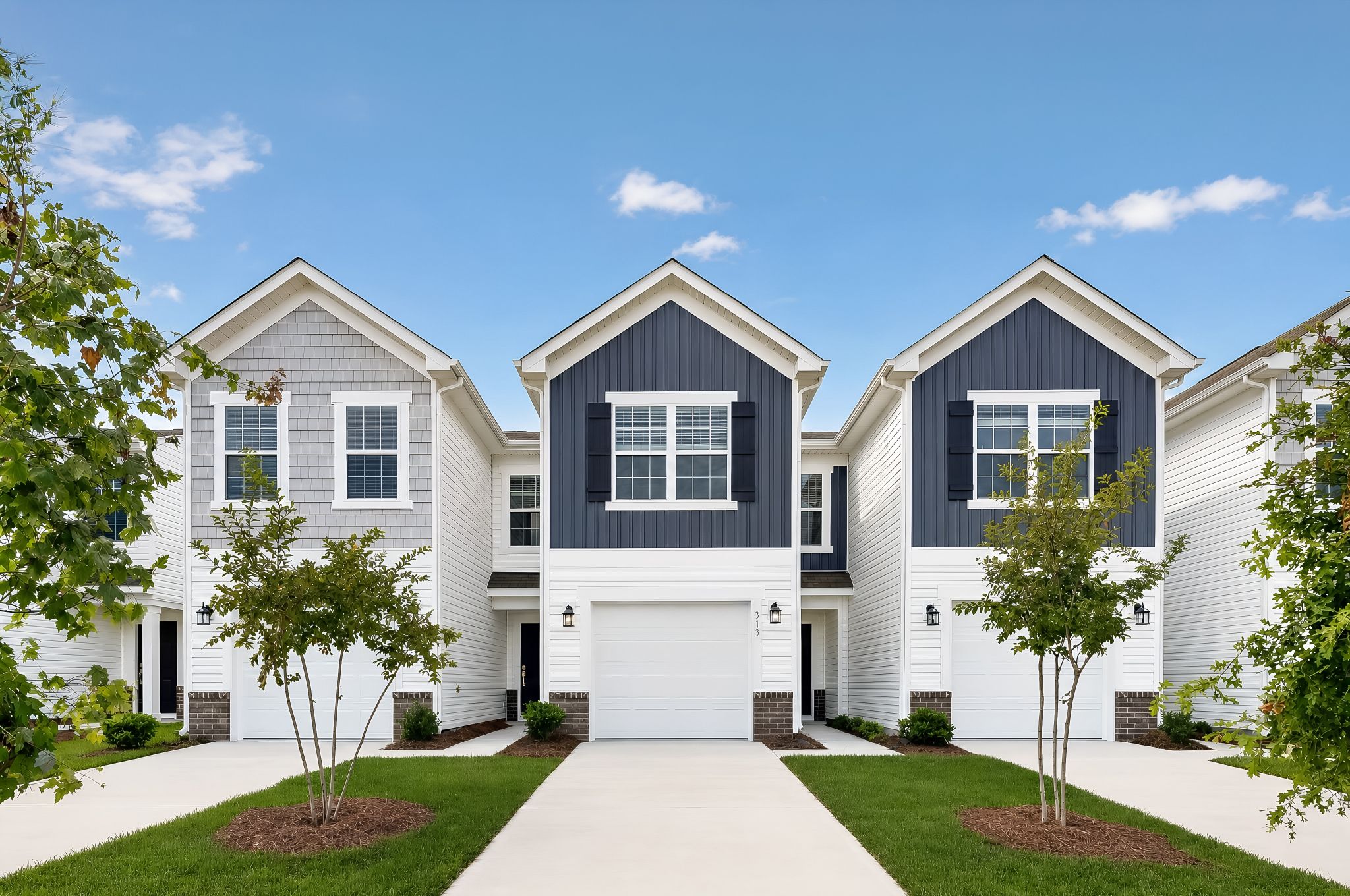 Denali - Taylor Hill - Parks Townhomes: Gilbert, South Carolina - Lennar