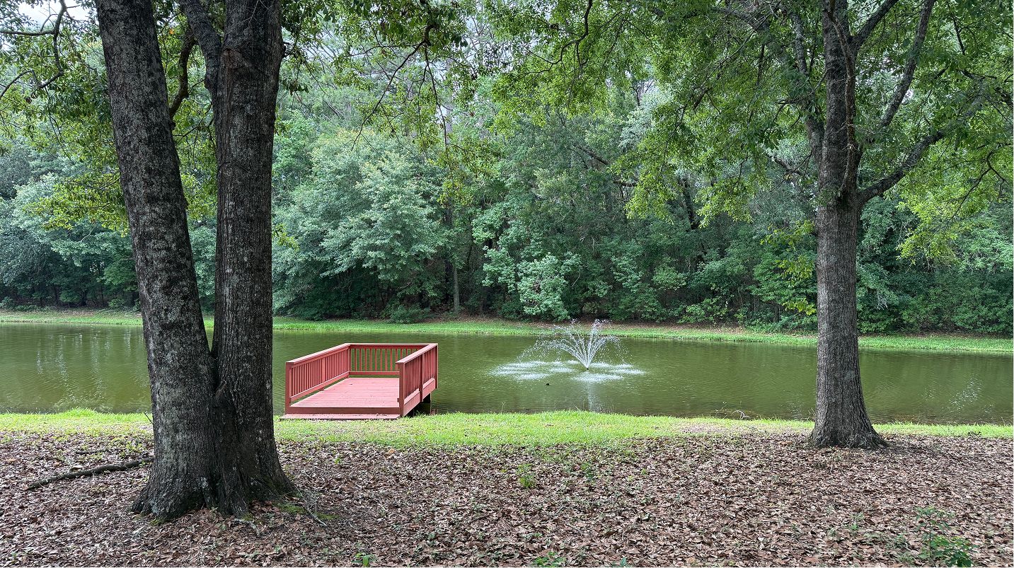 Lakeland Amenity Pond 4of4