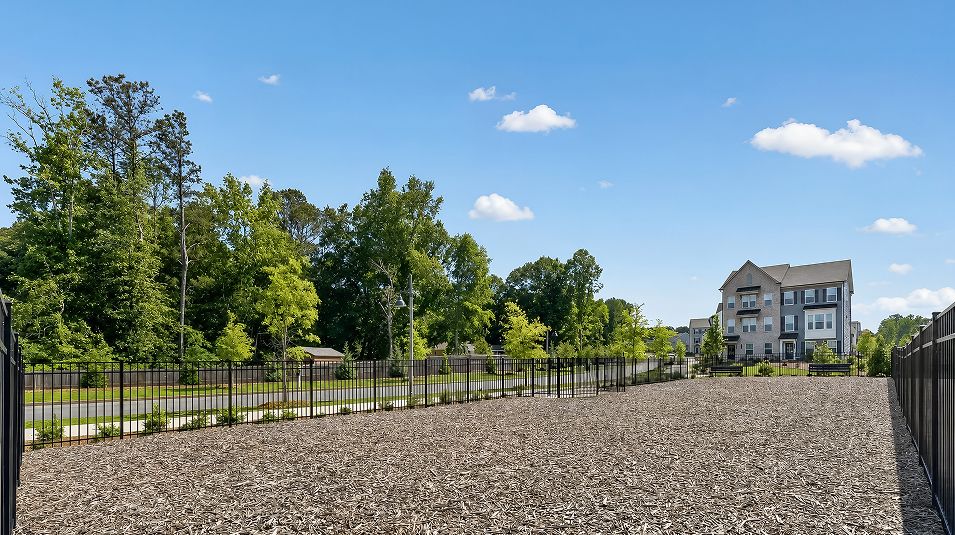 Forrest Crossing Town Homes Amenity Dog Park 1of5