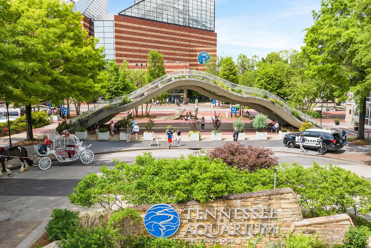 Chattanooga Aerial Aquarium 3of4