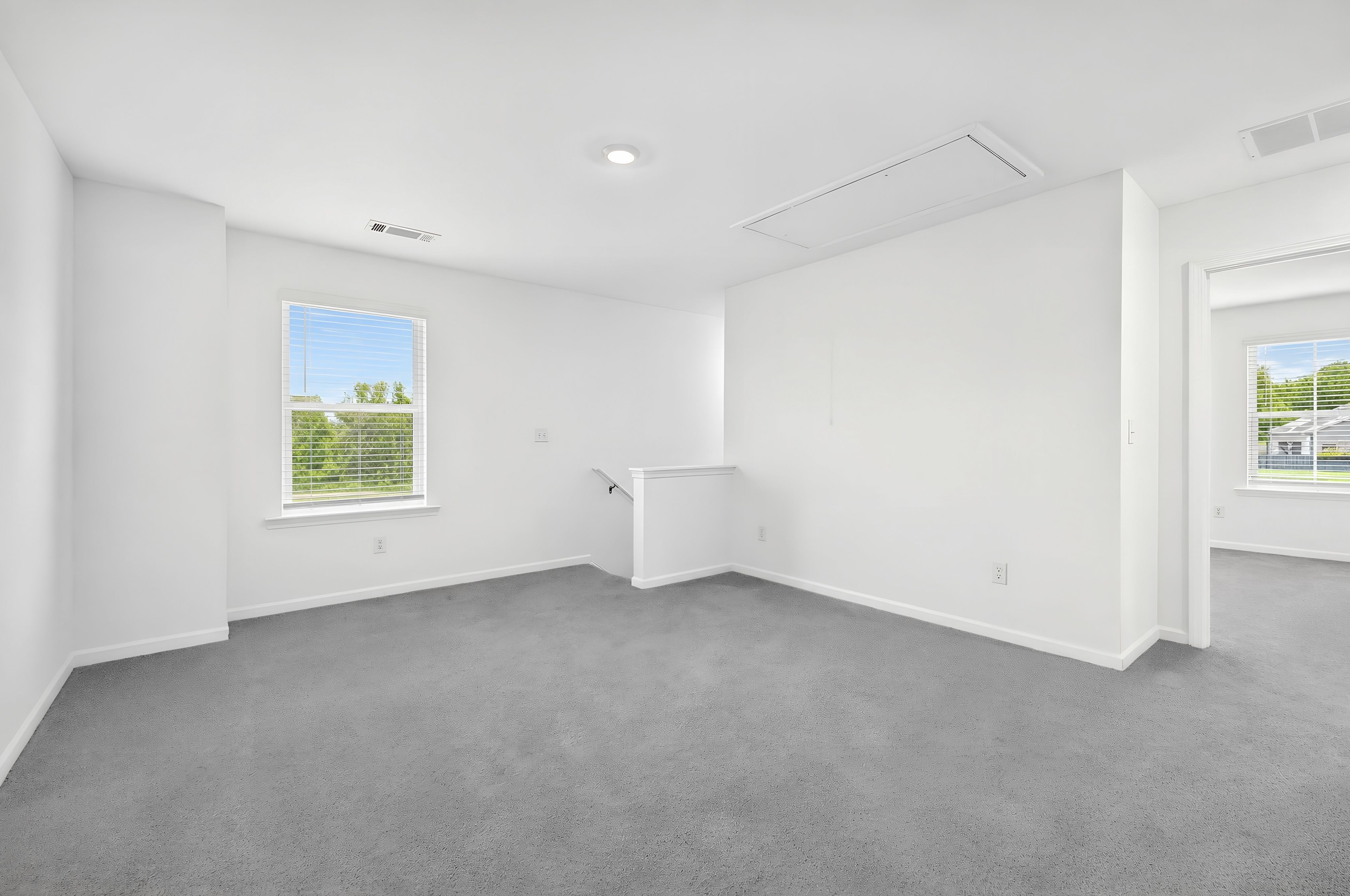 The Orchard Davidson 5