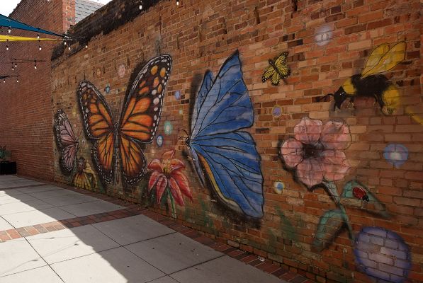 Camden Dowtown Arts District Mural