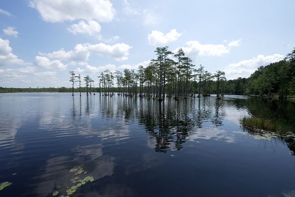 SC Camden Goodale State Park