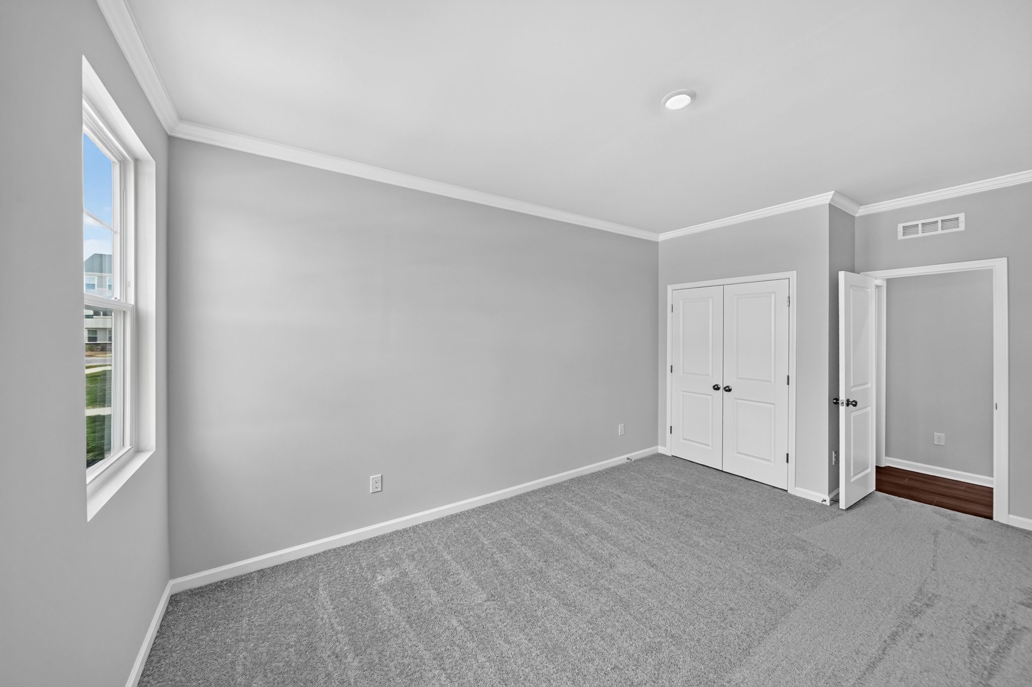 Rosedale Dylan 15