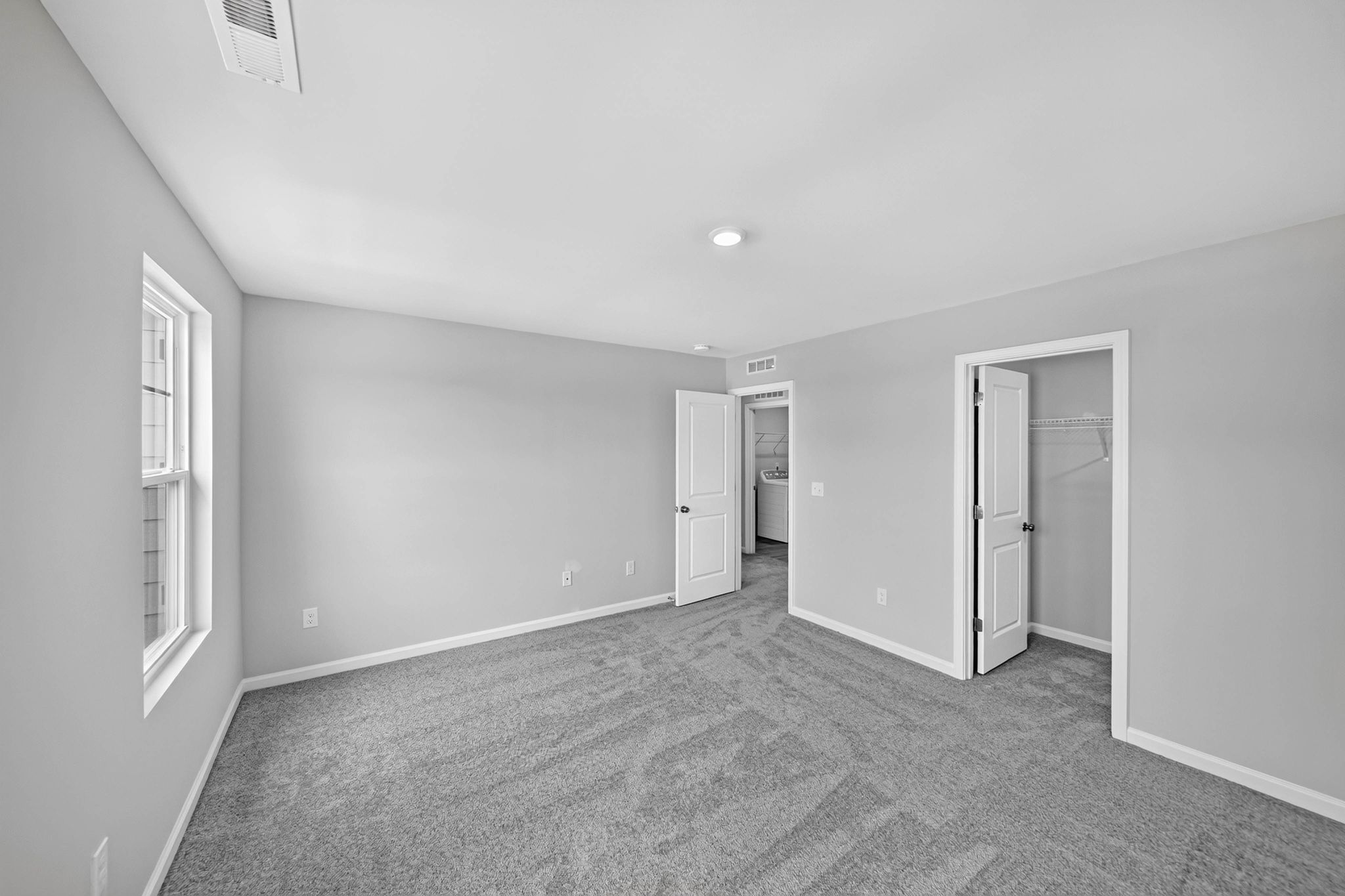 Rosedale Dylan 19