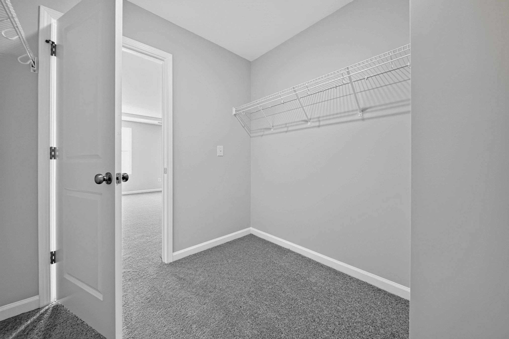 Rosedale Dylan 28
