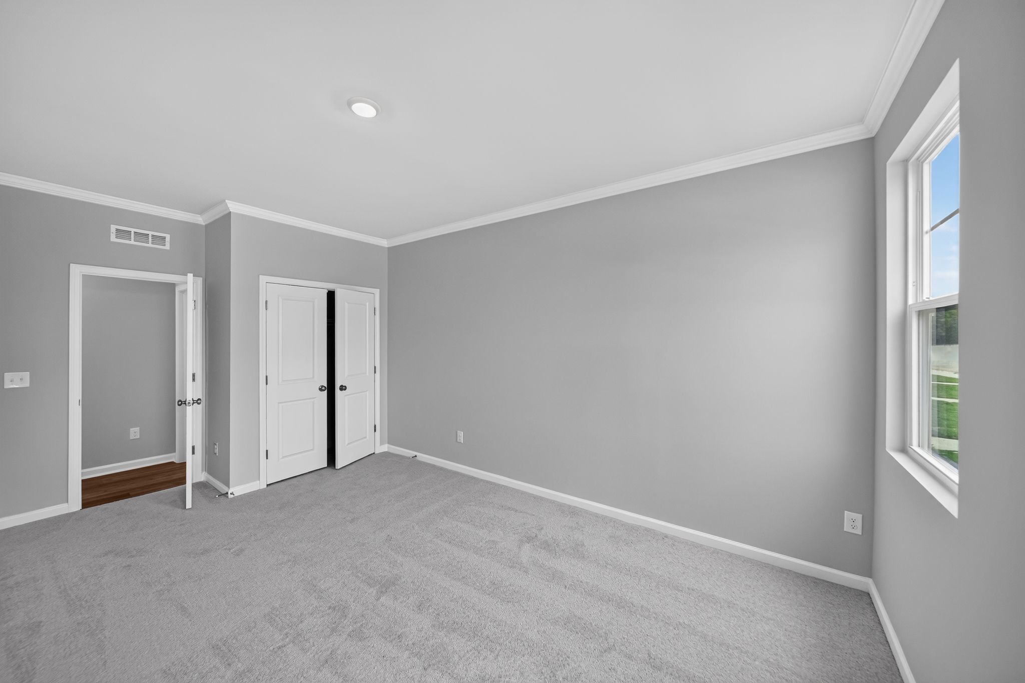 Rosedale Dylan 16