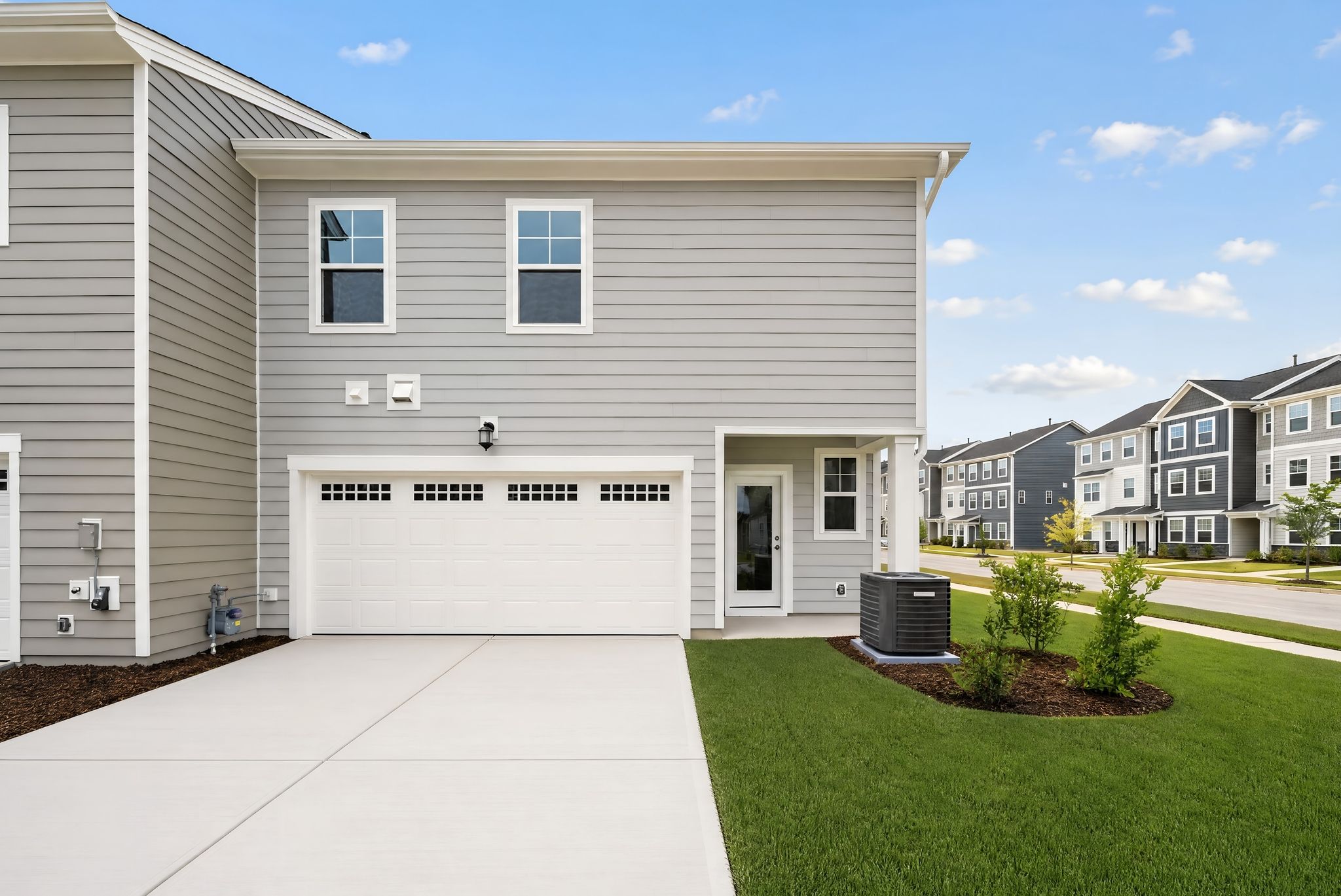 Rosedale Dylan 4