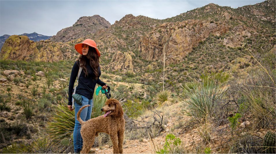 dog walking