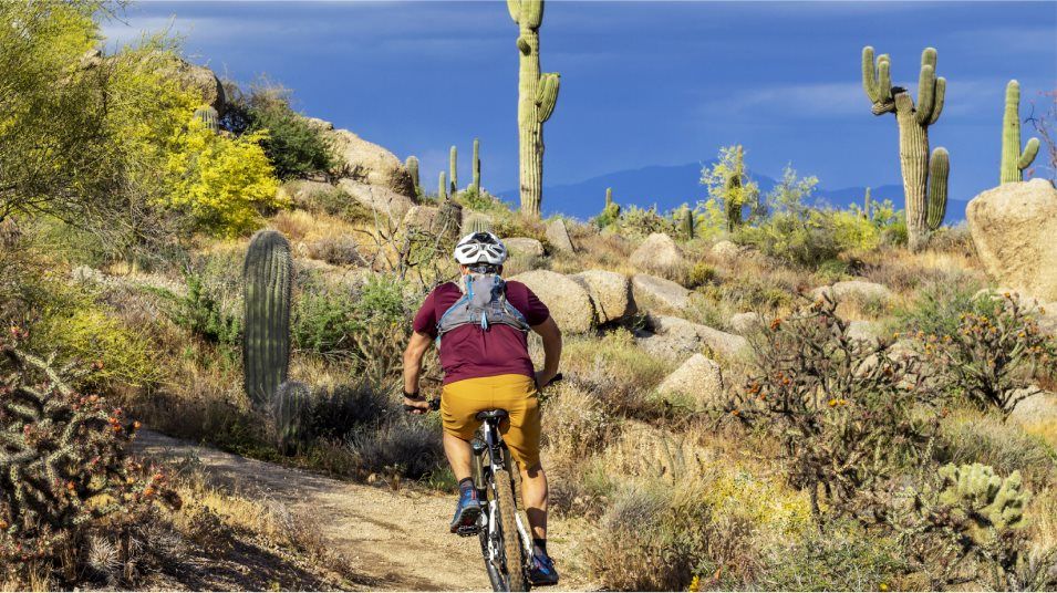 mountain biking