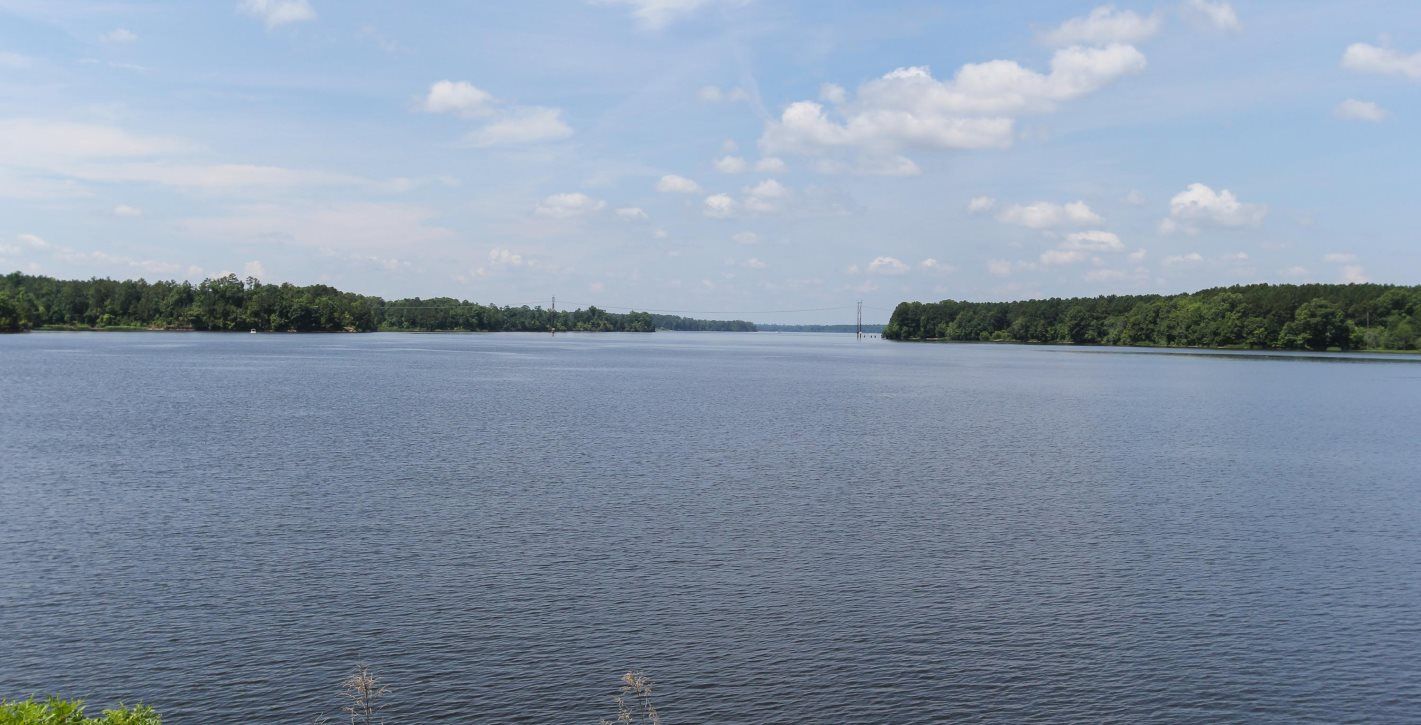 Bass Lake Park