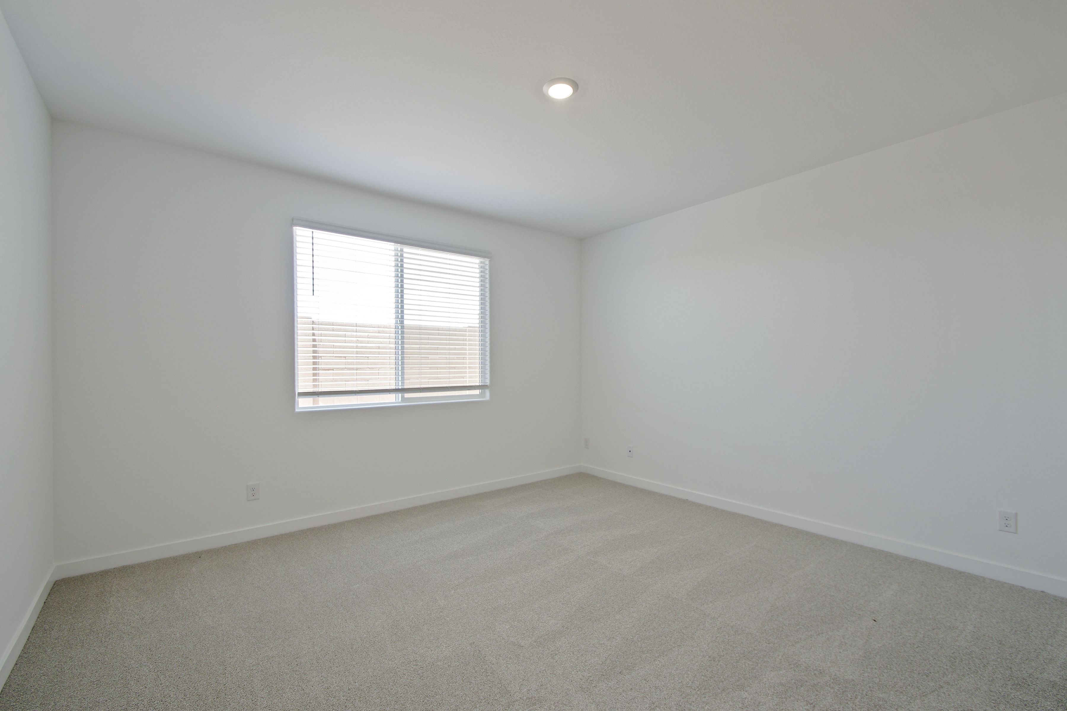 25228 N 174th Ln   Print Quality   007   07 Primary Bedroom