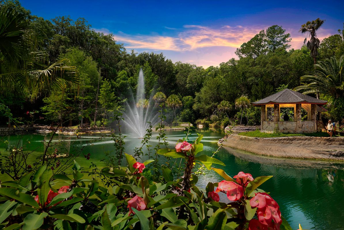 Williston Cedar Lakes Woods Gardens