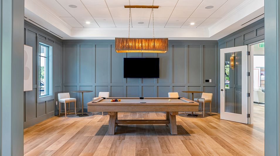 Horizonsat Summers Corner Amenity Billiards