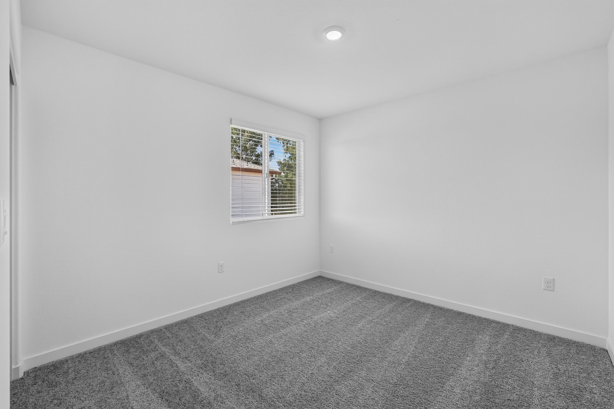 Cedar Glen 2788 C 12