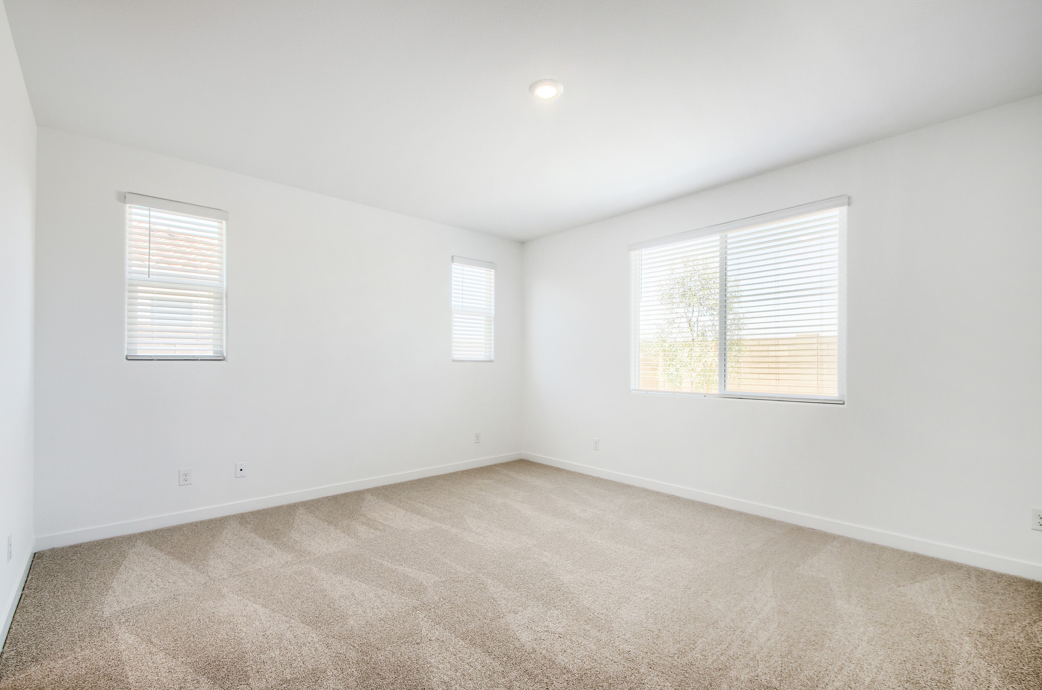 25456 N 176th Ave   Print Quality   008   08 Primary Bedroom