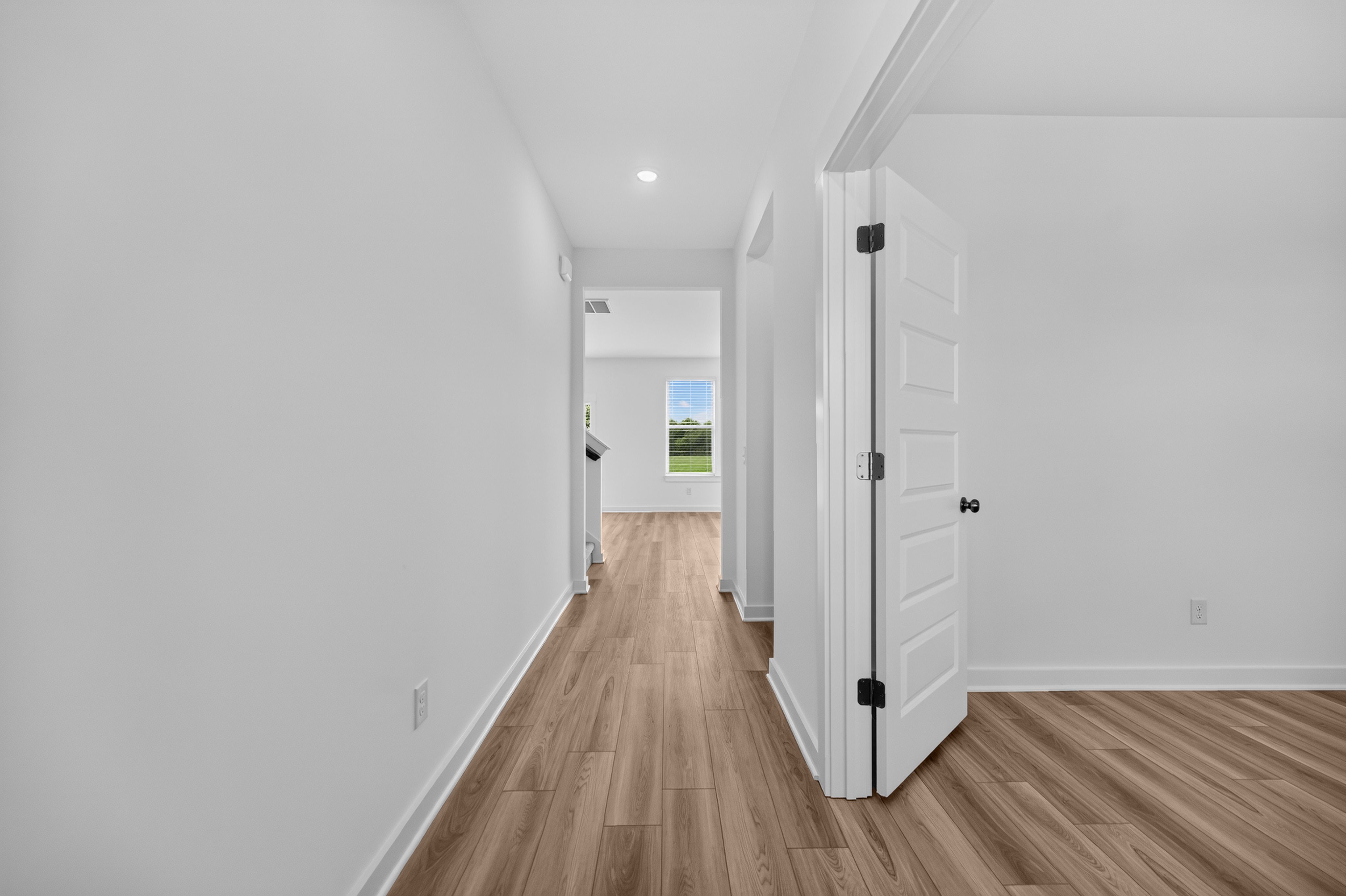 Dillon Pointe Hamilton9 15