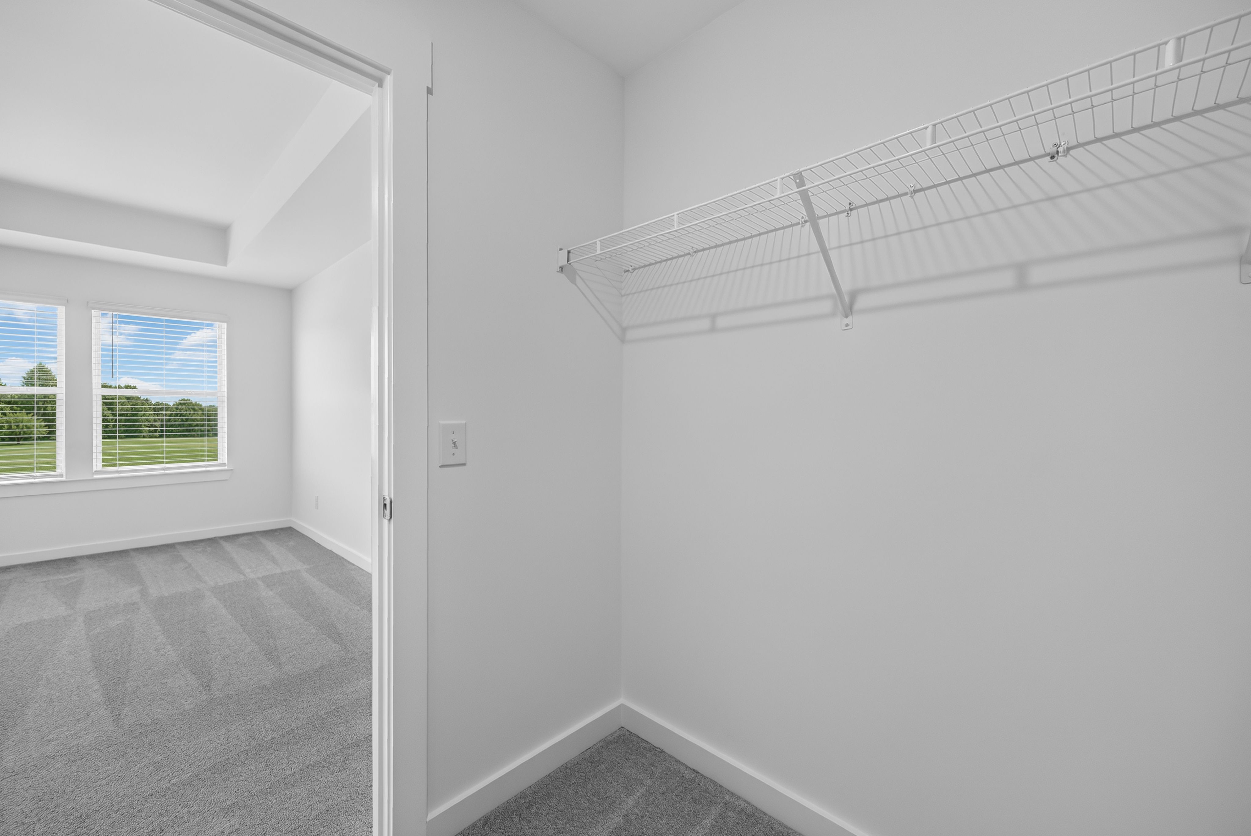 Dillon Pointe Hamilton9 16