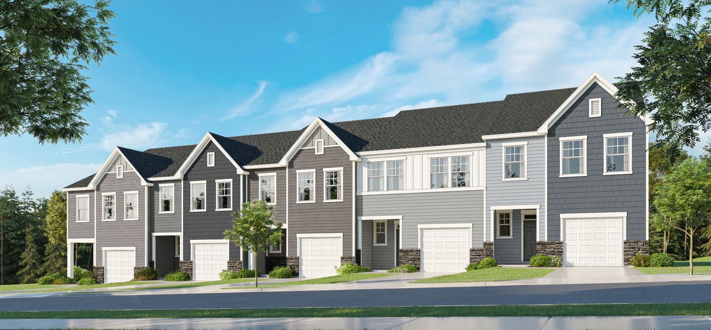 Designer Collection Rolesville Crossing Streetscape