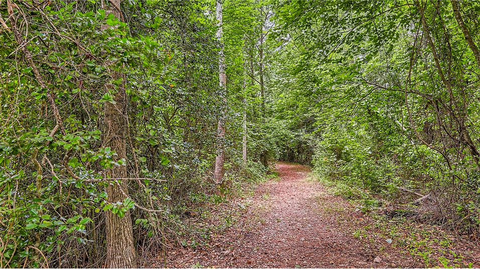 Rolesville Cossing Amenity Trail 2of3