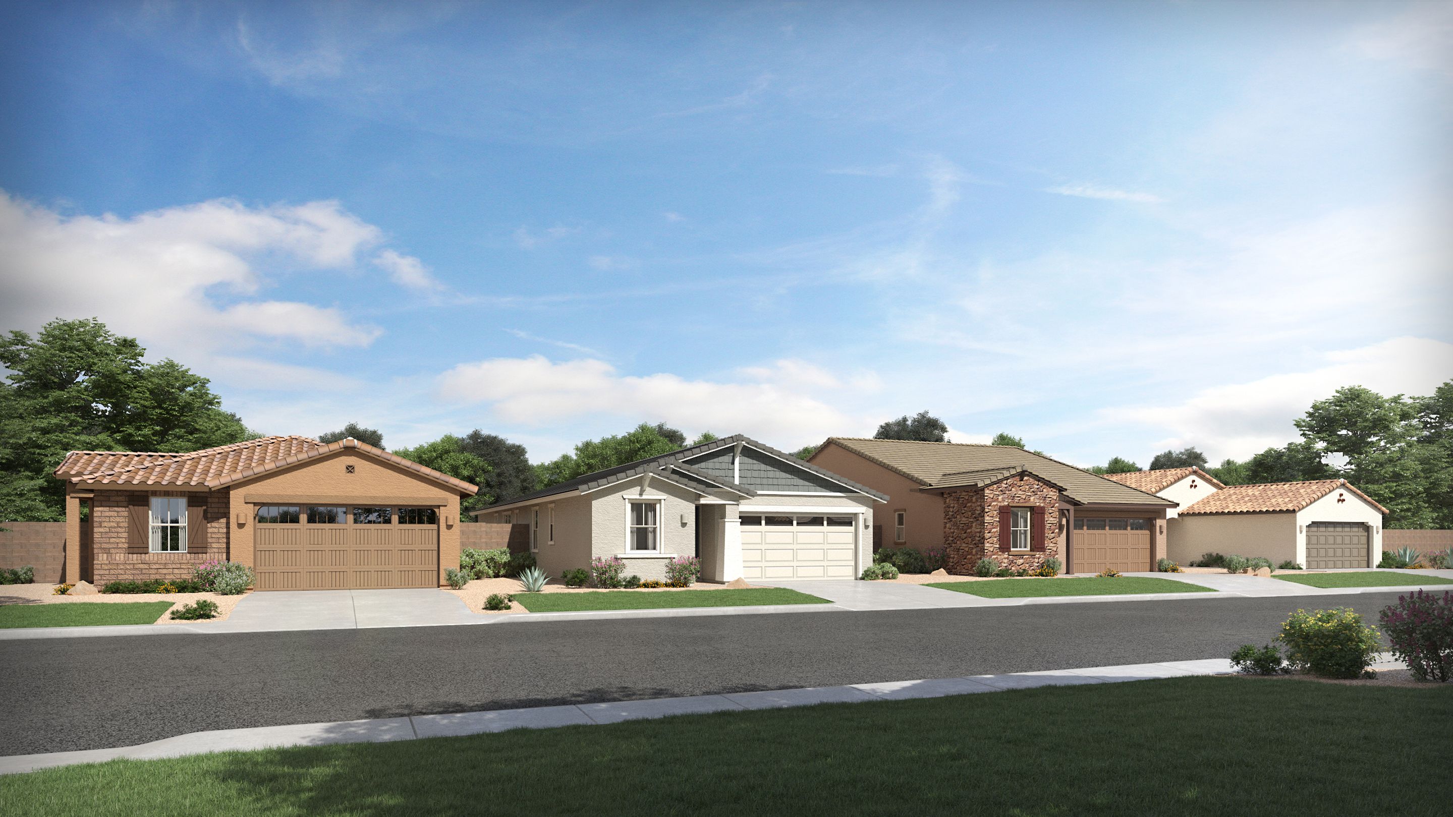 Discovery Bella Vista Farms Streetscape