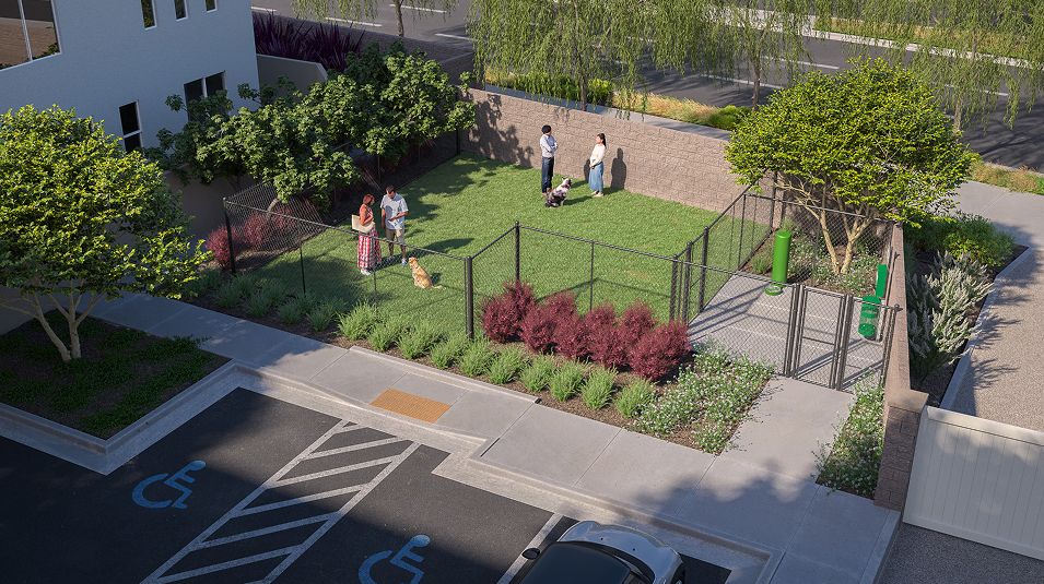 Mesa Verde Amenity Dog Park 1of2