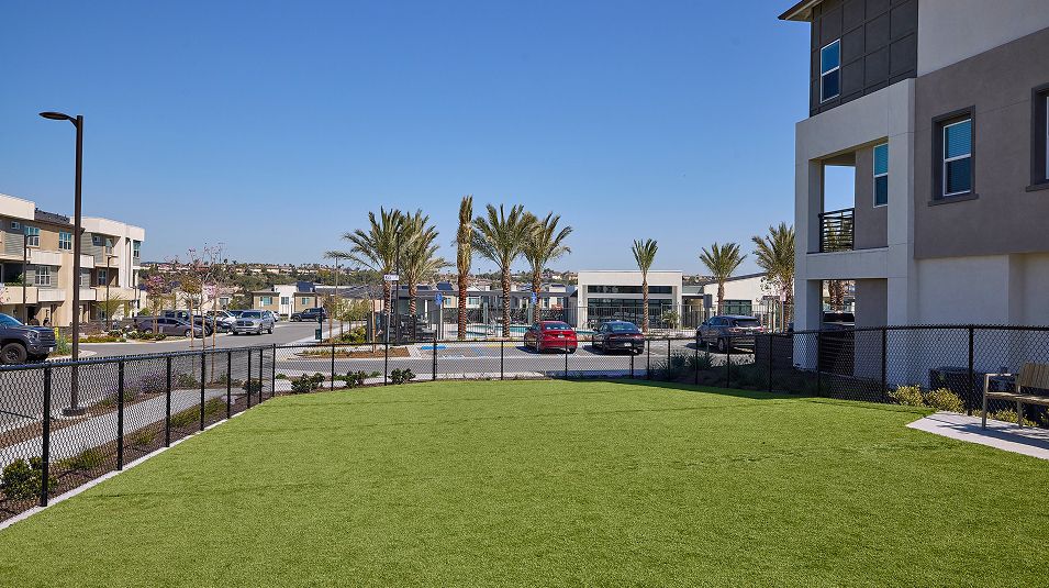 Sunbow Amenity Dog Park