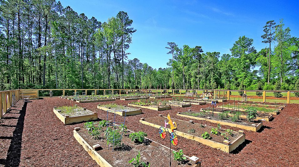 Waterfall Villages Amenity Garden 2of2
