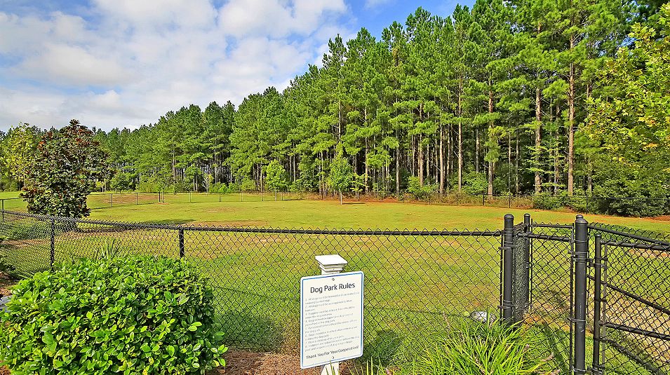 Lindera Preserve Amenity Dog Park 2