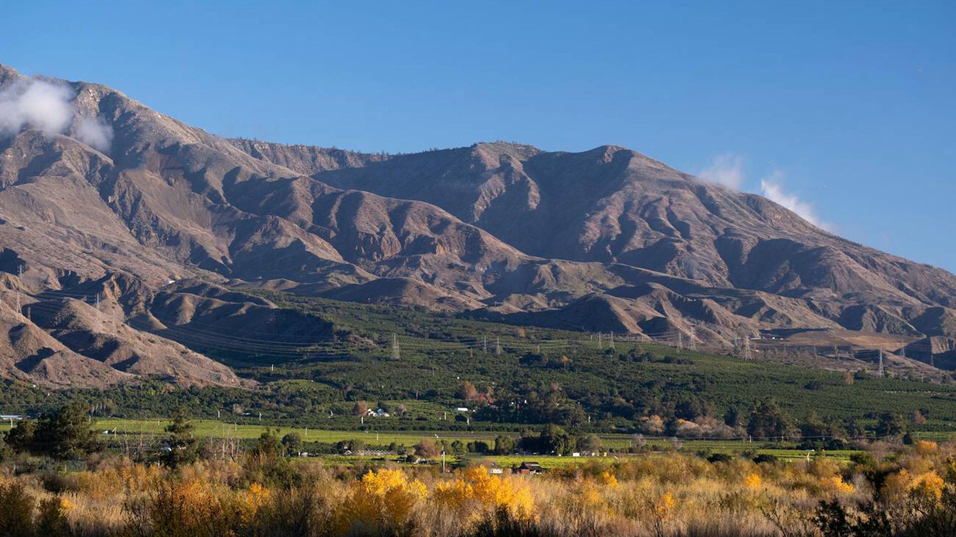 LA Santa Paula Santa Clara River Orchards Pic