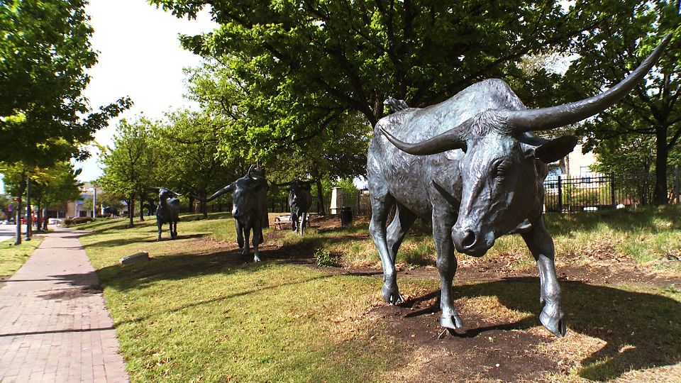 Frisco Longhorn Sculptures Photoshoot jpg