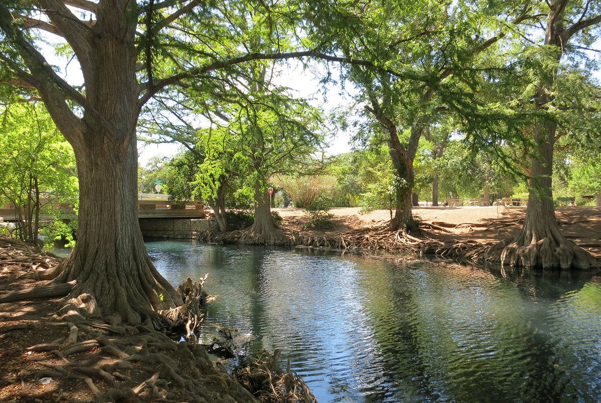 Guadalupe Ridge