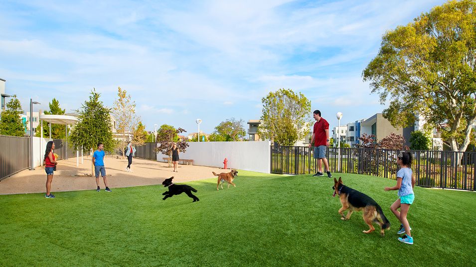 GPN Amenity Novel Park Dog Park