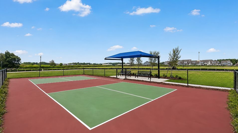 The Encore Amenity Pickleball