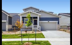 Prairie Song - The Petal Collection: Windsor, Colorado - Lennar